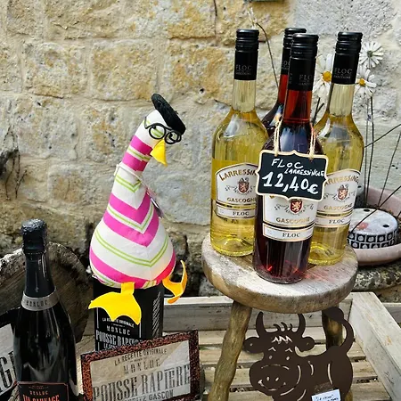 Domaine De Larroucau Jegun