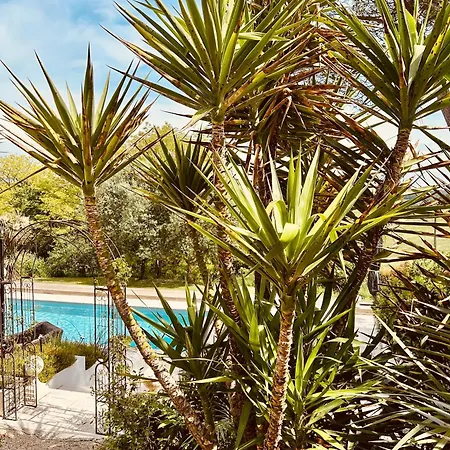 Domaine De Larroucau * Jegun